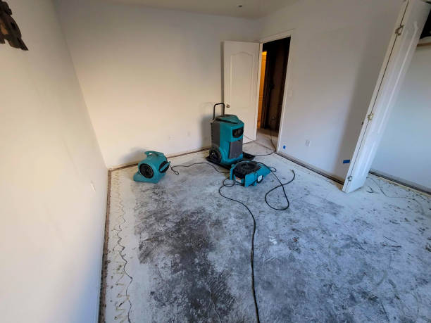 Best Ceiling water damage repair  in Fort Mckinley, OH