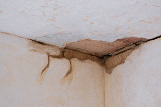 Best Local water damage restoration  in Fort Mckinley, OH