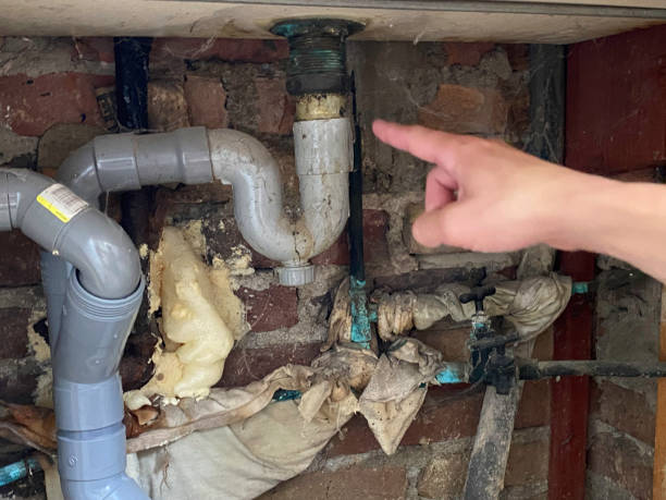 Best Basement water damage restoration  in Fort Mckinley, OH