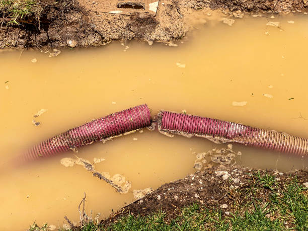 Best Water damage restoration cost  in Fort Mckinley, OH